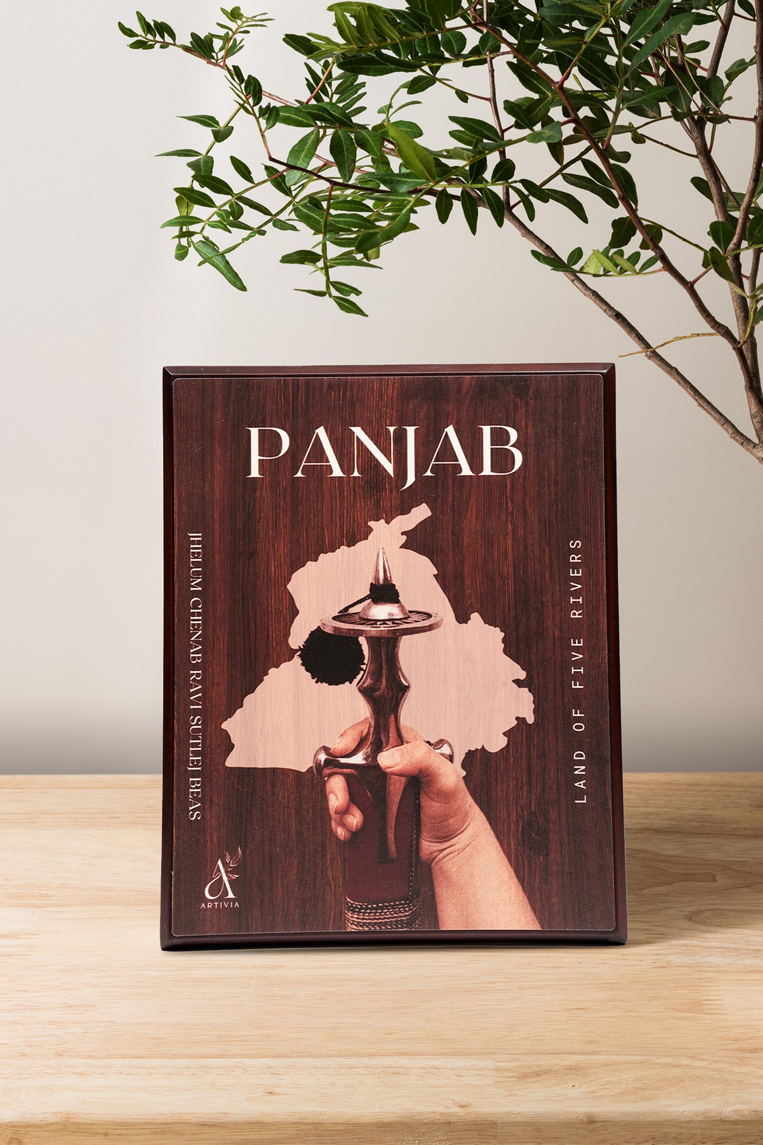 Panjab Table standy (8 X 10)